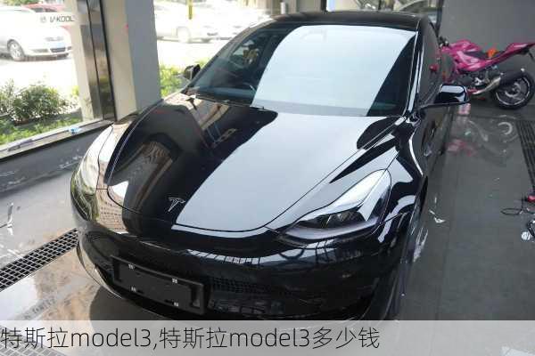 特斯拉model3,特斯拉model3多少钱-第3张图片-立方汽车网