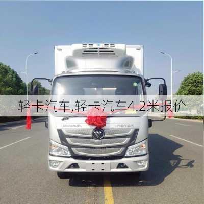 轻卡汽车,轻卡汽车4.2米报价-第2张图片-立方汽车网