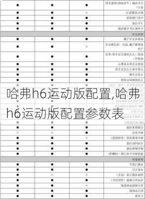 哈弗h6运动版配置,哈弗h6运动版配置参数表-第3张图片-立方汽车网