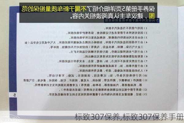 标致307保养,标致307保养手册-第1张图片-立方汽车网