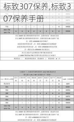 标致307保养,标致307保养手册-第2张图片-立方汽车网