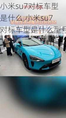 小米su7对标车型是什么,小米su7对标车型是什么型号-第3张图片-立方汽车网