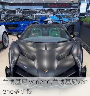 兰博基尼 veneno,兰博基尼veneno多少钱-第1张图片-立方汽车网