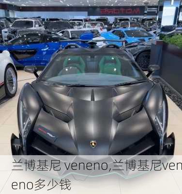 兰博基尼 veneno,兰博基尼veneno多少钱-第2张图片-立方汽车网