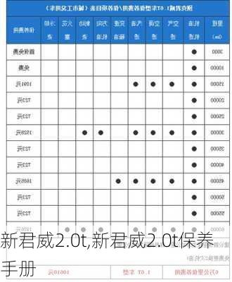 新君威2.0t,新君威2.0t保养手册-第2张图片-立方汽车网