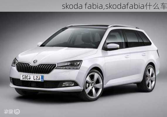 skoda fabia,skodafabia什么车-第2张图片-立方汽车网