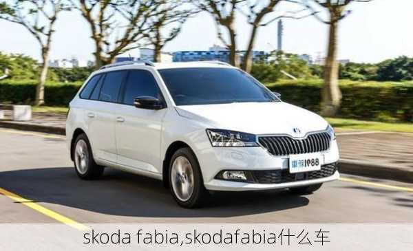 skoda fabia,skodafabia什么车-第3张图片-立方汽车网