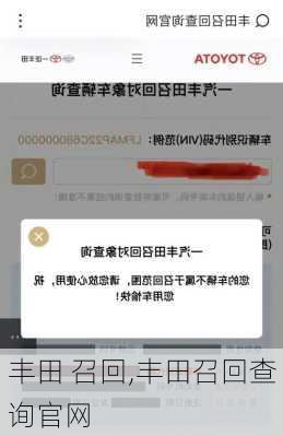 丰田 召回,丰田召回查询官网-第2张图片-立方汽车网