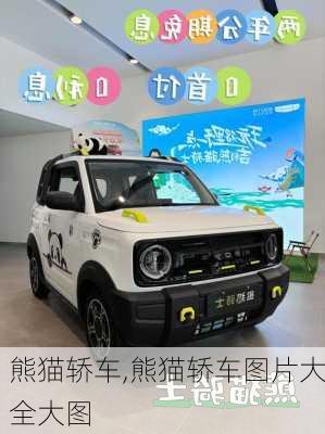 熊猫轿车,熊猫轿车图片大全大图-第2张图片-立方汽车网