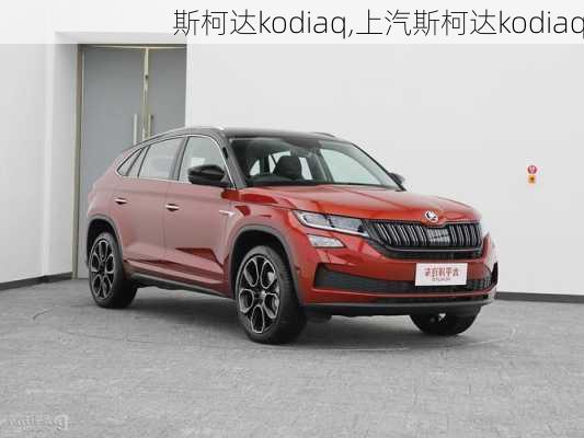 斯柯达kodiaq,上汽斯柯达kodiaq-第3张图片-立方汽车网