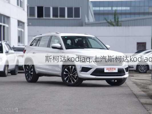 斯柯达kodiaq,上汽斯柯达kodiaq-第2张图片-立方汽车网