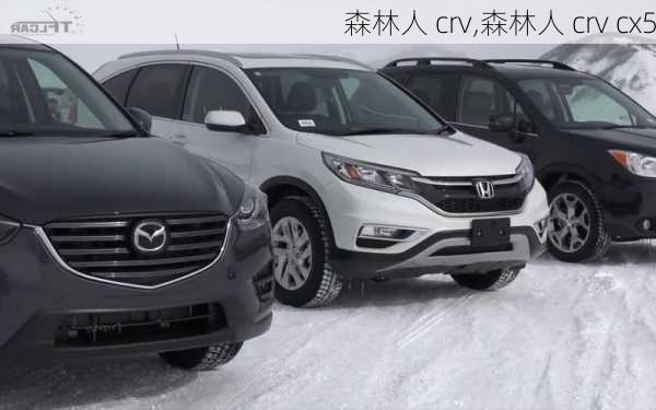 森林人 crv,森林人 crv cx5-第1张图片-立方汽车网