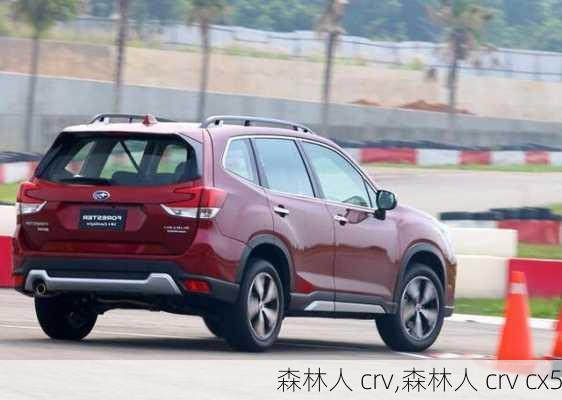 森林人 crv,森林人 crv cx5-第3张图片-立方汽车网