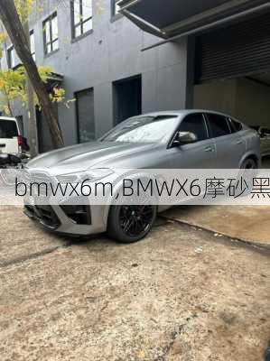 bmwx6m,BMWX6摩砂黑-第3张图片-立方汽车网