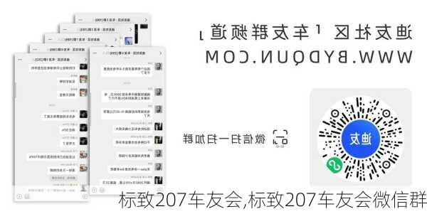 标致207车友会,标致207车友会微信群-第1张图片-立方汽车网