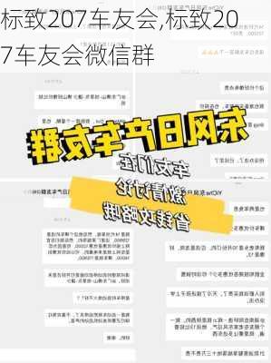 标致207车友会,标致207车友会微信群-第3张图片-立方汽车网