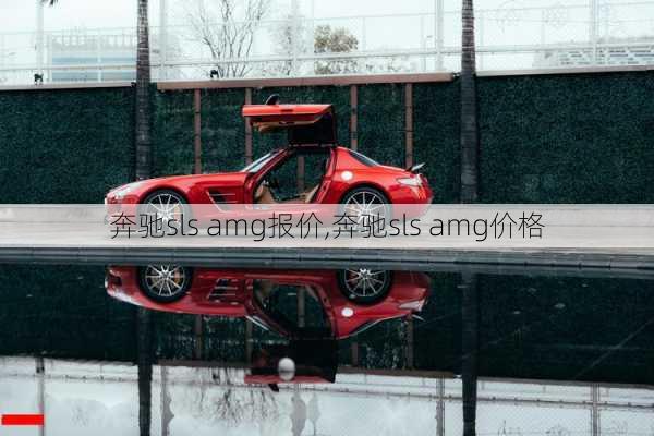 奔驰sls amg报价,奔驰sls amg价格-第3张图片-立方汽车网