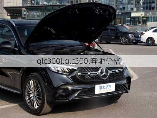 glc300l,glc300l奔驰价格-第3张图片-立方汽车网