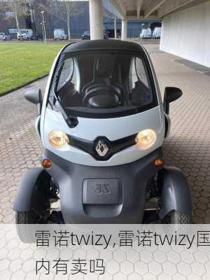 雷诺twizy,雷诺twizy国内有卖吗-第3张图片-立方汽车网