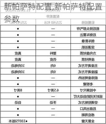 新帕萨特配置,新帕萨特配置参数-第3张图片-立方汽车网