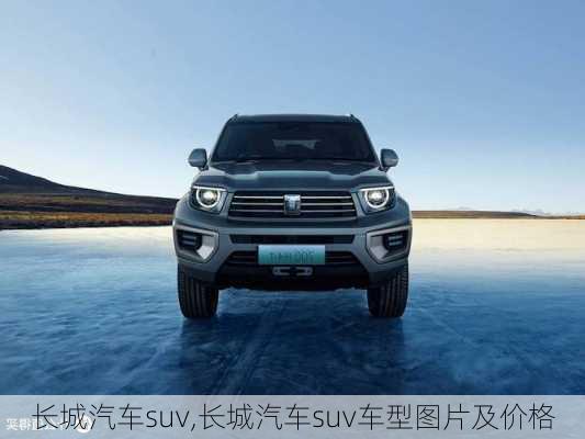 长城汽车suv,长城汽车suv车型图片及价格-第2张图片-立方汽车网