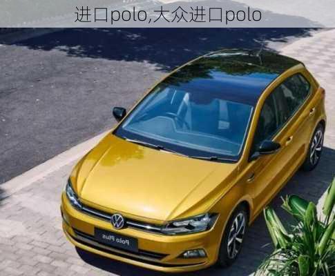 进口polo,大众进口polo-第2张图片-立方汽车网