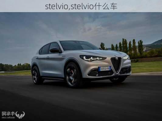 stelvio,stelvio什么车-第3张图片-立方汽车网