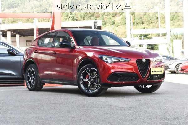 stelvio,stelvio什么车-第2张图片-立方汽车网