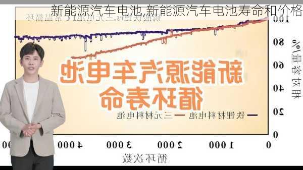 新能源汽车电池,新能源汽车电池寿命和价格-第1张图片-立方汽车网