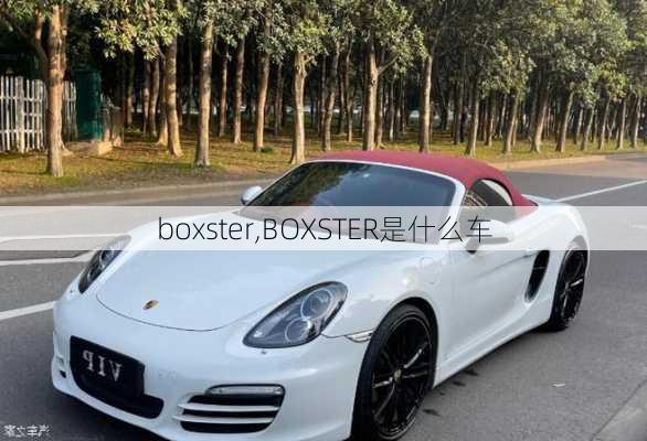 boxster,BOXSTER是什么车-第1张图片-立方汽车网