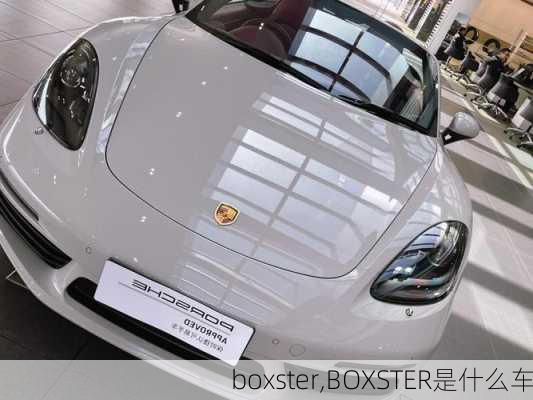 boxster,BOXSTER是什么车-第2张图片-立方汽车网