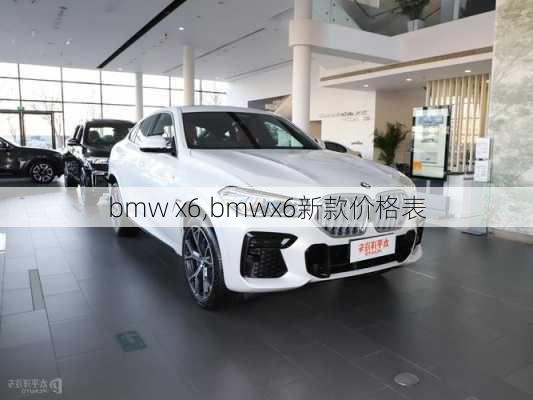 bmw x6,bmwx6新款价格表-第1张图片-立方汽车网