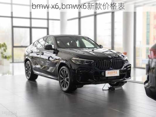 bmw x6,bmwx6新款价格表-第3张图片-立方汽车网