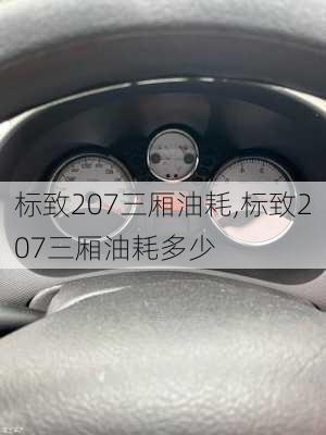 标致207三厢油耗,标致207三厢油耗多少-第1张图片-立方汽车网