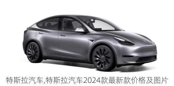 特斯拉汽车,特斯拉汽车2024款最新款价格及图片-第2张图片-立方汽车网