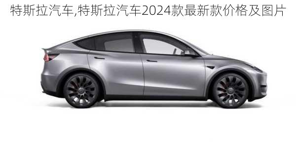 特斯拉汽车,特斯拉汽车2024款最新款价格及图片-第1张图片-立方汽车网