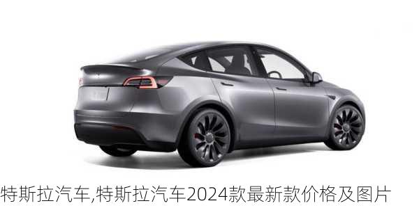 特斯拉汽车,特斯拉汽车2024款最新款价格及图片-第3张图片-立方汽车网