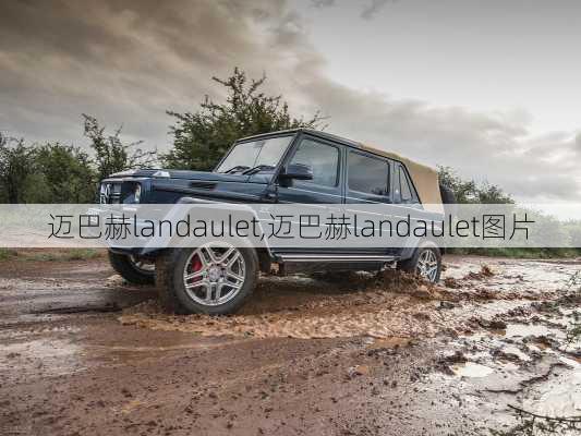 迈巴赫landaulet,迈巴赫landaulet图片-第3张图片-立方汽车网