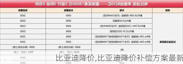 比亚迪降价,比亚迪降价补偿方案最新-第2张图片-立方汽车网