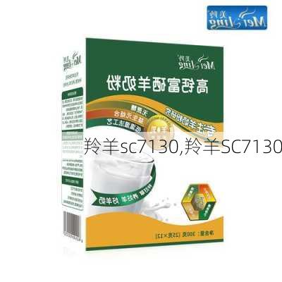 羚羊sc7130,羚羊SC7130-第3张图片-立方汽车网