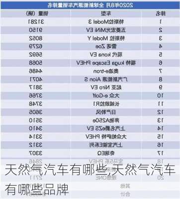 天然气汽车有哪些,天然气汽车有哪些品牌-第1张图片-立方汽车网