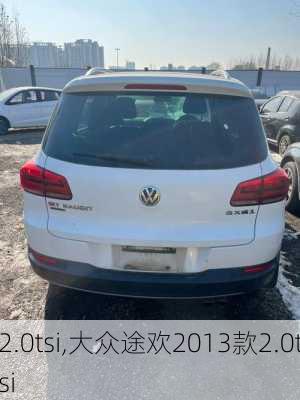 2.0tsi,大众途欢2013款2.0tsi-第2张图片-立方汽车网