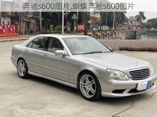 奔驰s600图片,蝴蝶奔驰s600图片-第2张图片-立方汽车网