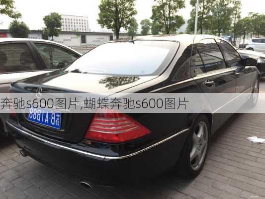 奔驰s600图片,蝴蝶奔驰s600图片-第1张图片-立方汽车网