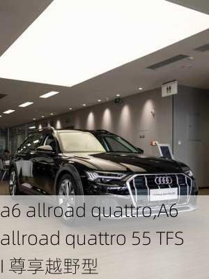 a6 allroad quattro,A6 allroad quattro 55 TFSI 尊享越野型-第2张图片-立方汽车网