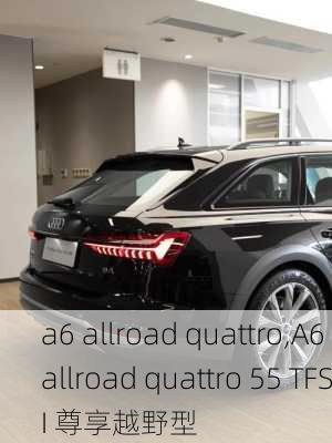 a6 allroad quattro,A6 allroad quattro 55 TFSI 尊享越野型