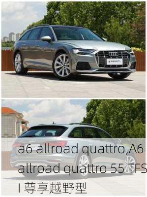 a6 allroad quattro,A6 allroad quattro 55 TFSI 尊享越野型-第3张图片-立方汽车网