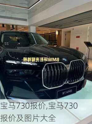 宝马730报价,宝马730报价及图片大全-第2张图片-立方汽车网