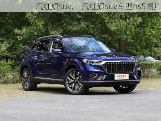 一汽红旗suv,一汽红旗suv车型hs5图片-第3张图片-立方汽车网