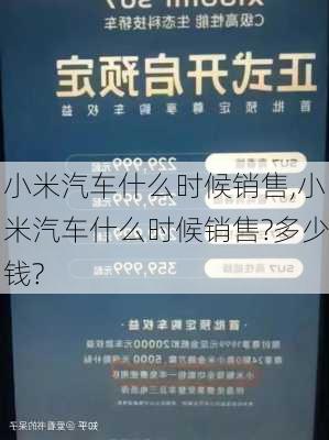 小米汽车什么时候销售,小米汽车什么时候销售?多少钱?-第2张图片-立方汽车网